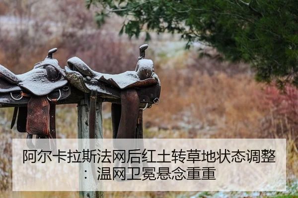 a-er-ka-la-si-fa-wang-hou-hong-tu-zhuan-cao-di-zhuang-tai-tiao-zheng-wen-wang-wei-mian-xuan-nian-chong-chong-2-837.jpg