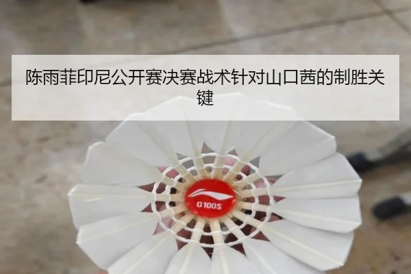chen-yu-fei-yin-ni-gong-kai-sai-jue-sai-zhan-shu-zhen-dui-shan-kou-qian-de-zhi-sheng-guan-jian-3-410.jpg