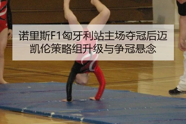 诺里斯F1匈牙利站主场夺冠后迈凯伦策略组升级与争冠悬念