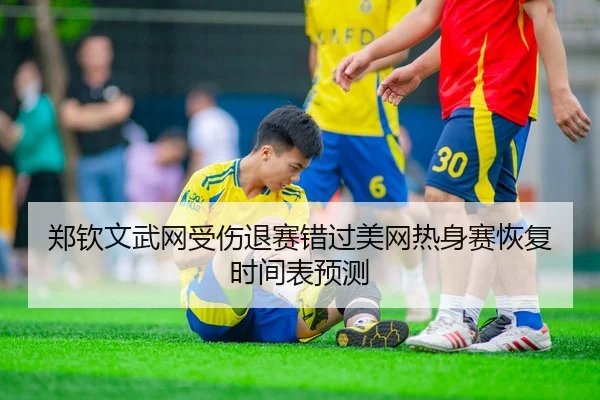 郑钦文武网受伤退赛错过美网热身赛恢复时间表预测